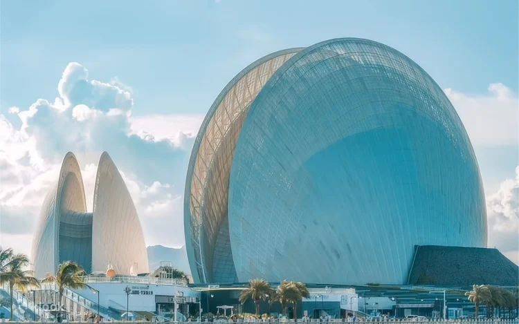 【Zhuhai】Private Day Tour and Hong Kong-Zhuhai-Macao Bridge Sea Cruise